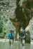 [ PIX9 ]