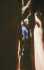[ PIX6 ]