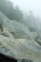 [ PIX2 ]