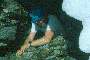 [ PIX6 ]