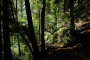 [ PIX1 ]