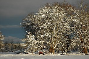 [ Dsc_1794b ]
